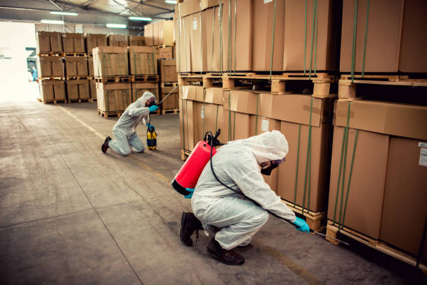 Wasp Removal Services in Gladeville, TN
