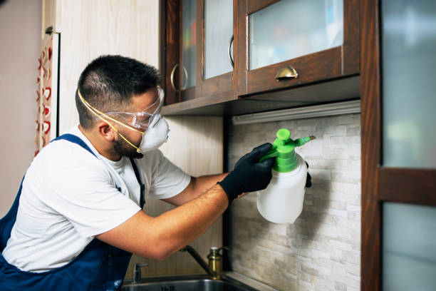 Best Wildlife Control Services  in Gladeville, TN