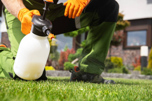 Flea Control Services in Gladeville, TN