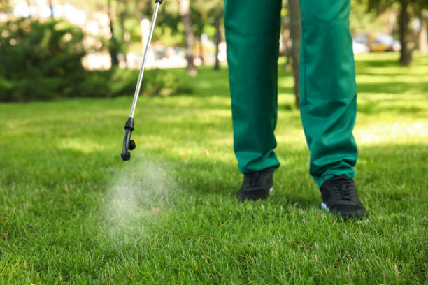 Best Flea Control Services  in Gladeville, TN