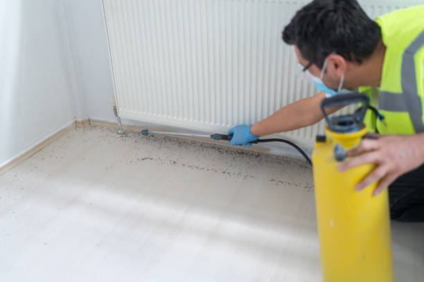 Best Mosquito Control Services  in Gladeville, TN