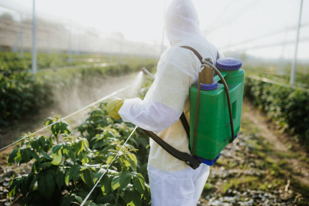 Best Ant Control Services  in Gladeville, TN